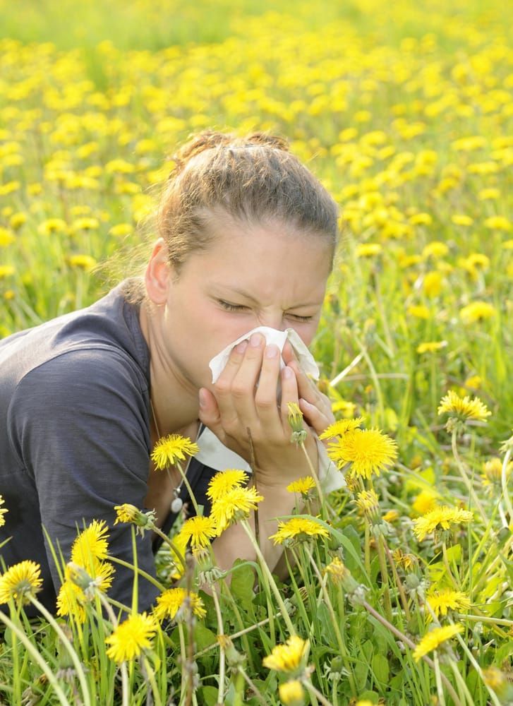 image of business Allergy and Asthma Center