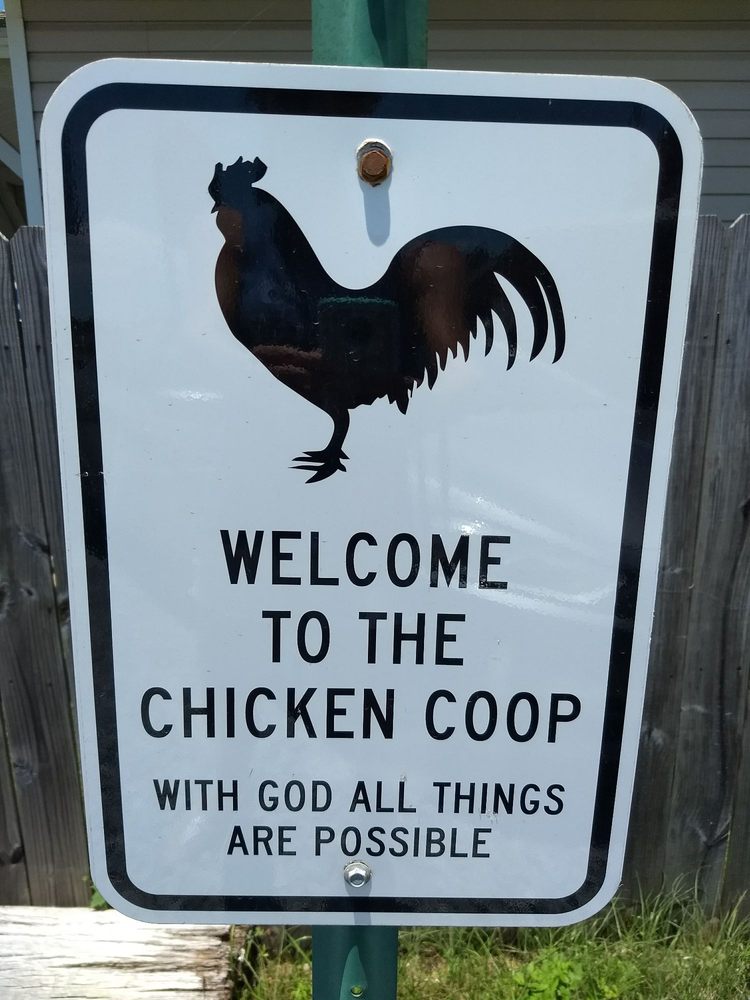 The Chicken Coop 2019 All You Need To Know Before You Go With