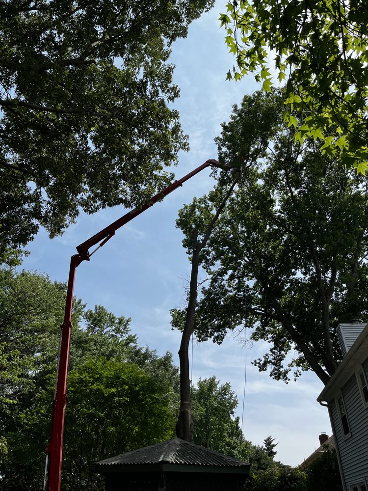 Aubrey’s Tree Service & Landscaping