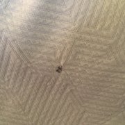Motel 6 10 Photos Hotels 144 Paraquet Springs Dr Photo Of Motel 6 Shepherdsville Ky United States Guess What