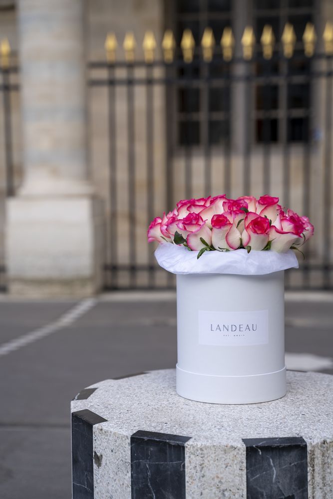 Landeau