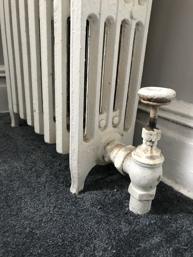 image of business D and L Carpet Service