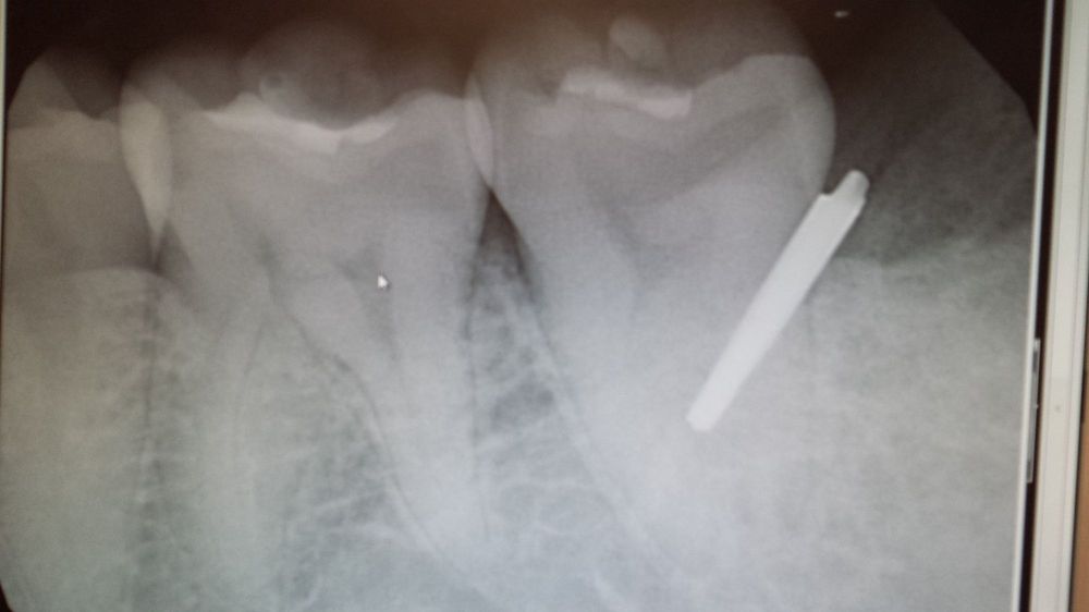 image of business Edward Wu, DDS