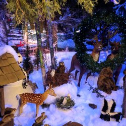 Hicks Nursery Santa Rosa Beach Florida Thenurseries Hicks Nurseries 490 Photos 101 Reviews Gardening