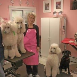 Photo of Fulton's Professional Dog Grooming - Berwyn, PA, United States. Linda and