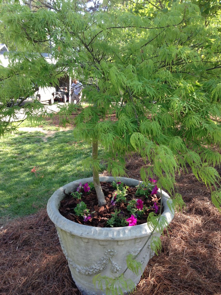 Arnold S Landscaping 3605 Sandy Plains Rd Marietta Arnold S Landscaping