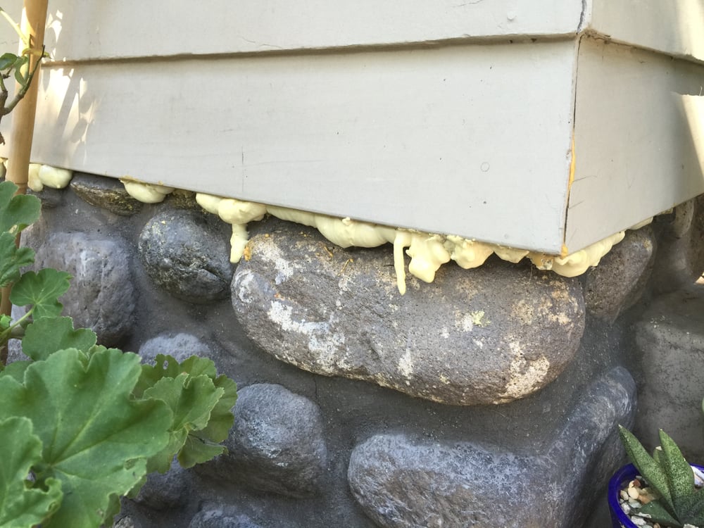 Surf City Pest Control Huntington Beach Ca Surf City Pest Control Huntington Beach Ca