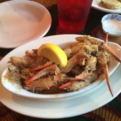 The Best 10 Seafood Restaurants Near Wolf Bay In Orange Beach Al Yelp Live Bait