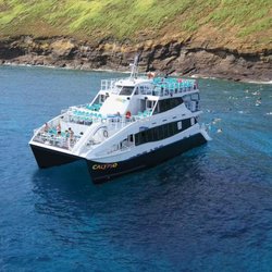 dinner on a boat maui calypso dinner cruise 11 reviews boat tours 101 dinner on a boat maui calypso dinner cruise 11 reviews boat tours 101