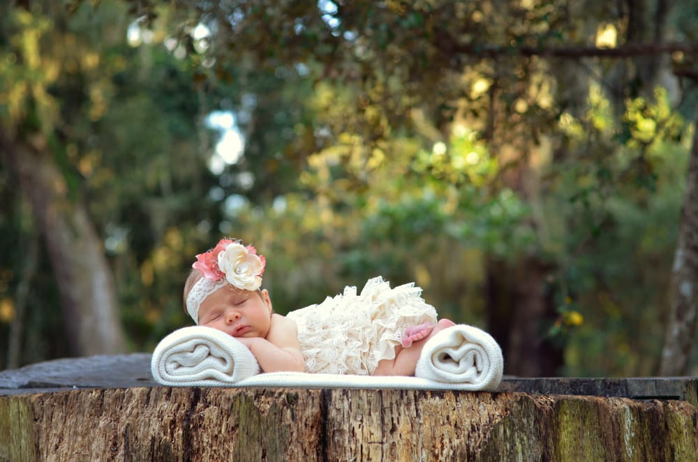 Ashley Haynes Photography
