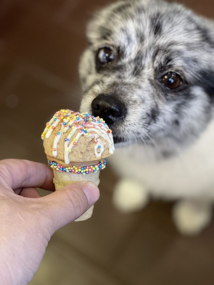 Muddy Paws Self-Wash Pet Supplies and More