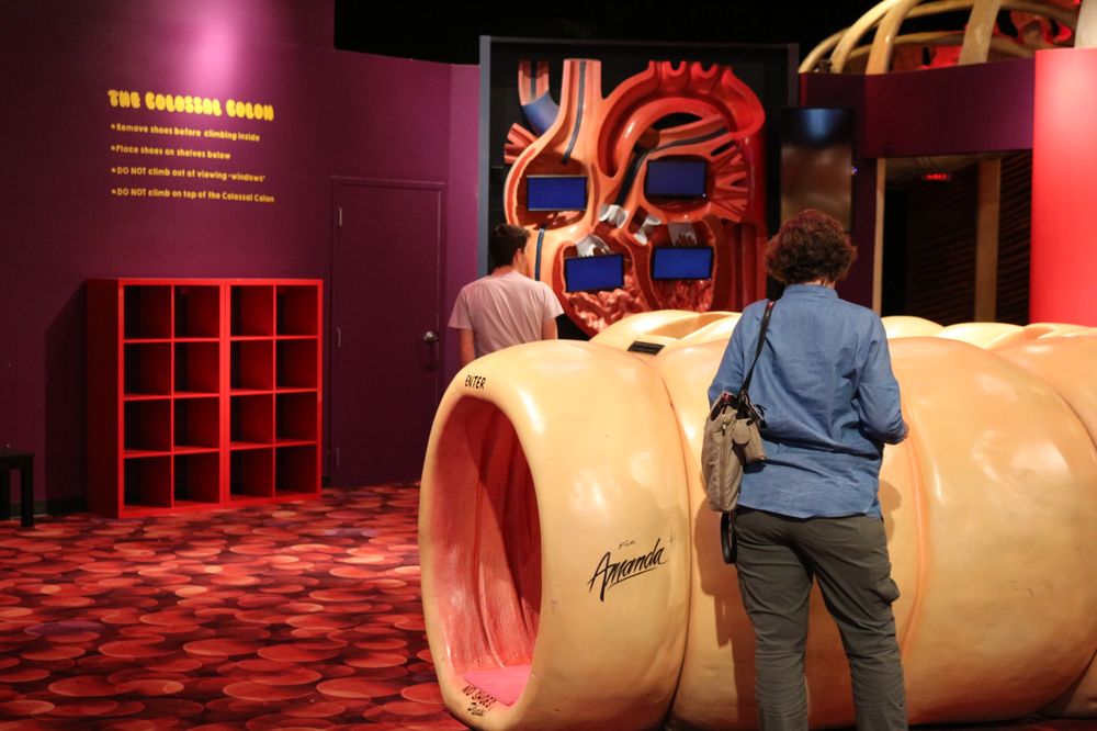 The Health Museum 166 Photos & 79 Reviews Museums 1515 Hermann Dr