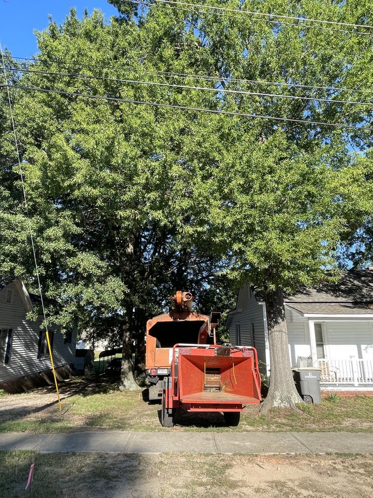 Ziemba’s Landscaping & Tree Service