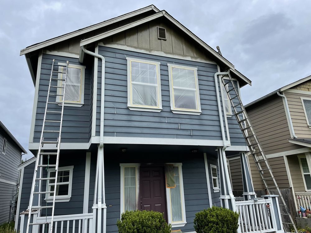 image of business New Era Painting A1