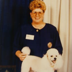 dog grooming greenville nc dog grooming greenville nc