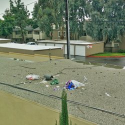 Claremont Gardens Apartments 113 Photos 10 Reviews Photo Of Claremont Gardens Apartments Ca United States January 2017