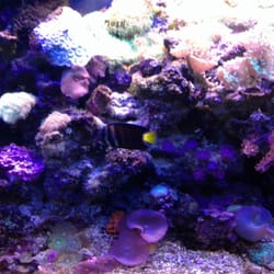 Monfort Aquarium & Pet Shop - 15 Reviews - Pet Stores