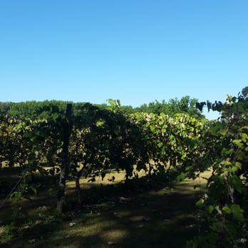 Cread Ridge Winery Cream Ridge Winery - 79 Photos & 57 Reviews - Wineries - 145 Rt 539 ...
