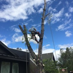 Arbor 1 Tree Service 14 Reviews Services 62995 Ne Plateau Photo Of Arbor 1 Tree Service Bend Or United States