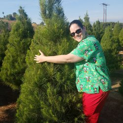 Christmas Conifers Nurseries Gardening Reche Canyon Rd We Photo Of Christmas Conifers Colton Ca United States