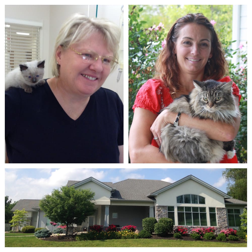 Lakota Hills Animal Clinic 26 Photos Veterinarians