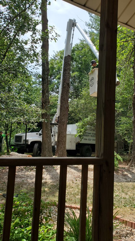 Johnson Tree & Property Maintenance