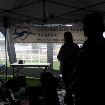 an overview of the process of adoption in the united states With the reduction in children available for adoption in the united states, the process is designed to protect the child, adoption legal help adoption overview. an overview of the process of adoption in the united states With the reduction in children available for adoption in the united states, the process is designed to protect the child, adoption legal help adoption overview.
