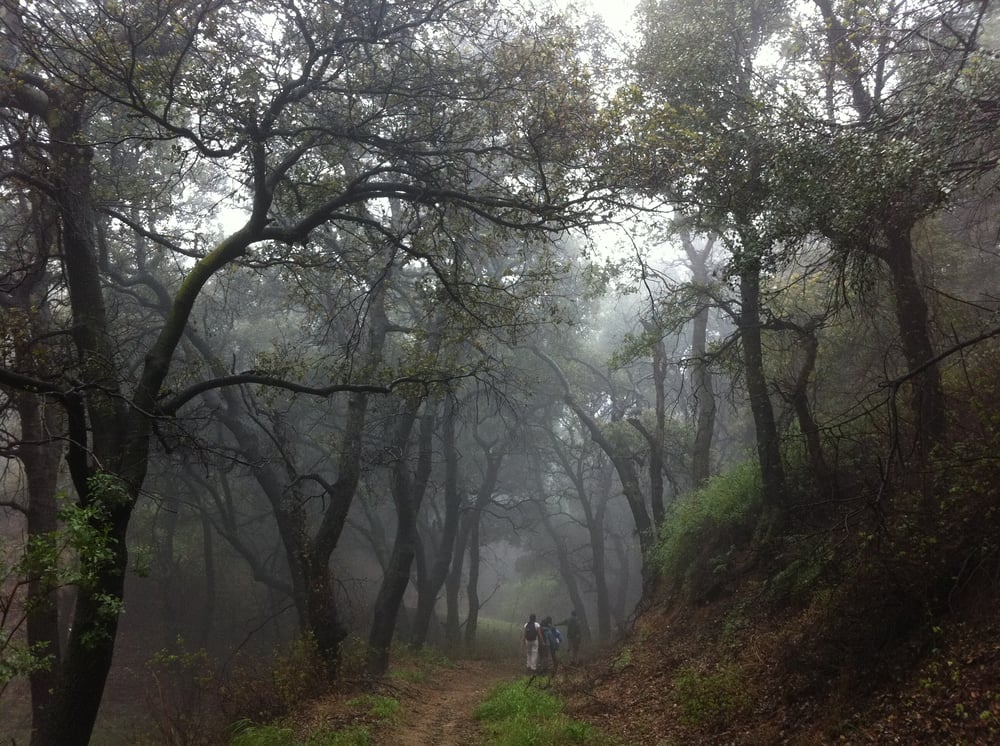 Placerita Canyon Nature Center Newhall Ca Placerita Canyon Nature Center Newhall Ca