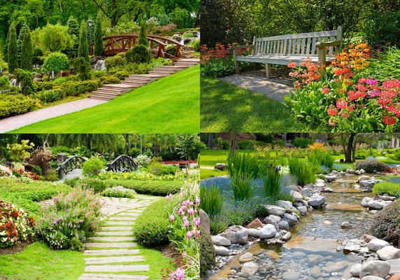 Valencia S Landscaping Maple Valley Wa
