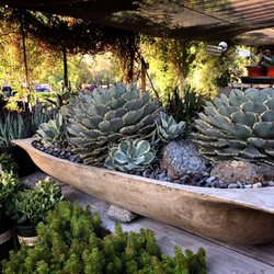 Moller S Garden Center 85 Photos 51 Reviews Nurseries Photo Of Moller S Garden Center Palm Desert Ca United States