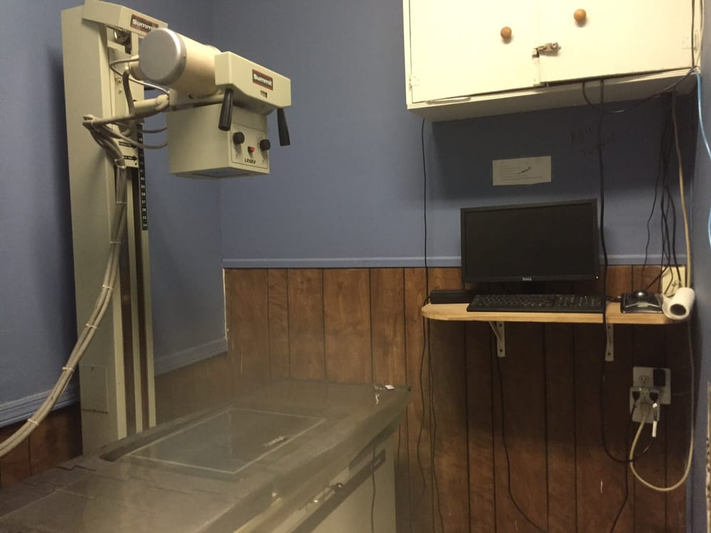 Rahway Animal Hospital 16 Reviews Veterinarians 175 W Grand Ave