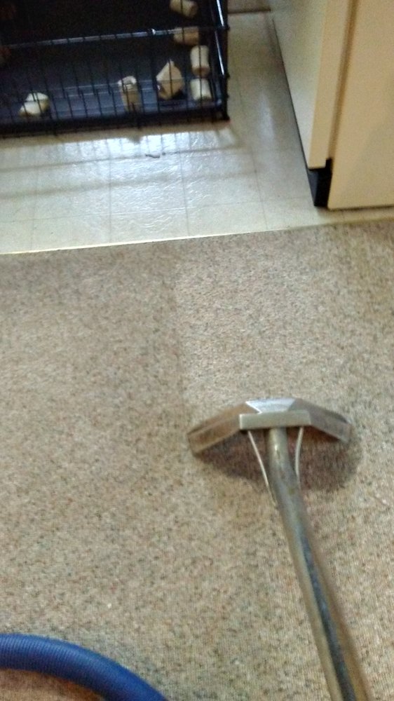Joey T's Carpet Cleaning