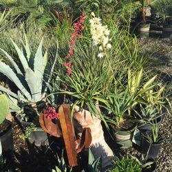 Wyntour Gardens - 32 Photos & 15 Reviews - Nurseries & Gardening - 8026