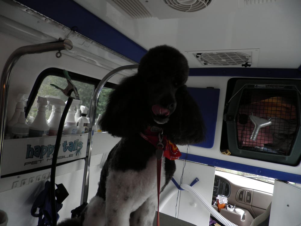 Happy Tails Pet Mobile Grooming 21 Photos & 35 Reviews Pet Groomers