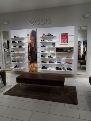 ecco discount store