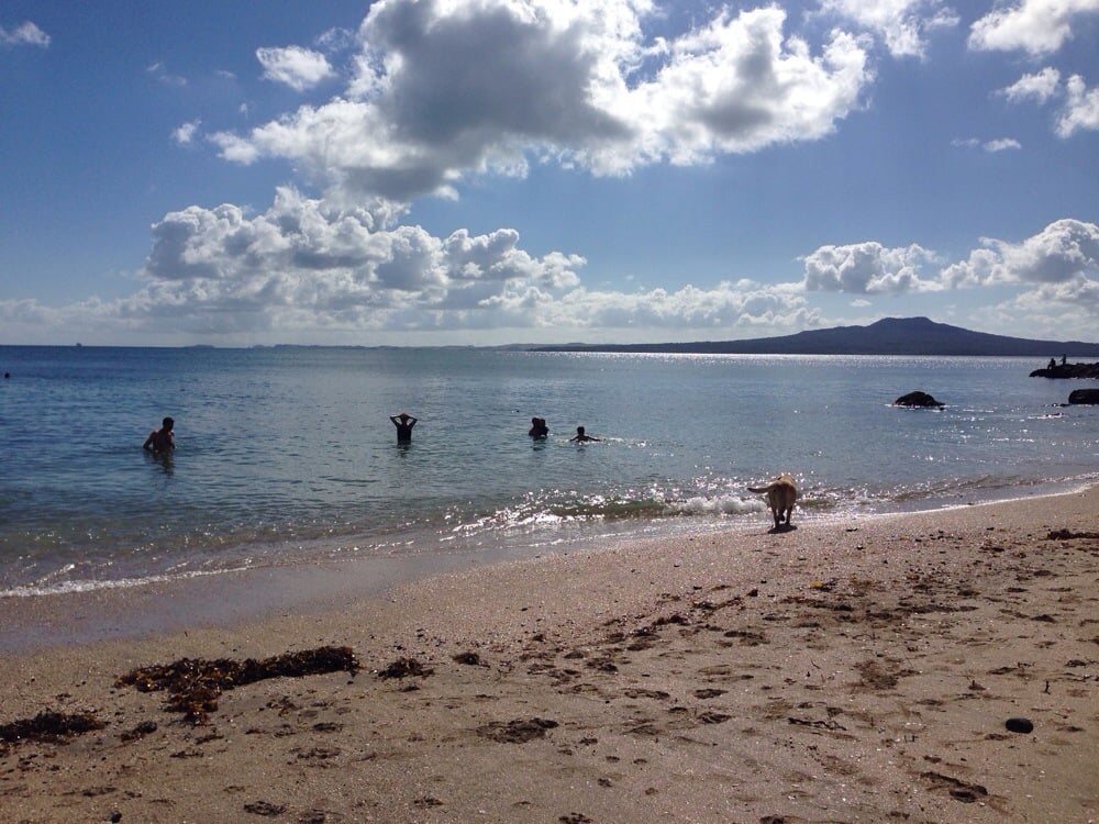 Thorne Bay 14 Photos Beaches Auckland, New Zealand Yelp