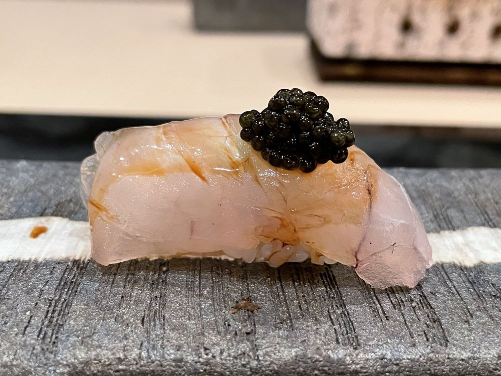 Sushi Gaga