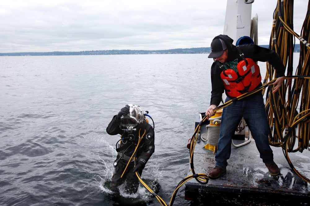 Divers Institute of Technology 21 Photos Diving 1341 N Northlake