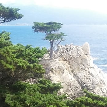 Pebble Beach 229 Photos 27 Reviews Beaches Ca Pebble Beach 229 Photos 27 Reviews Beaches Ca Yelp