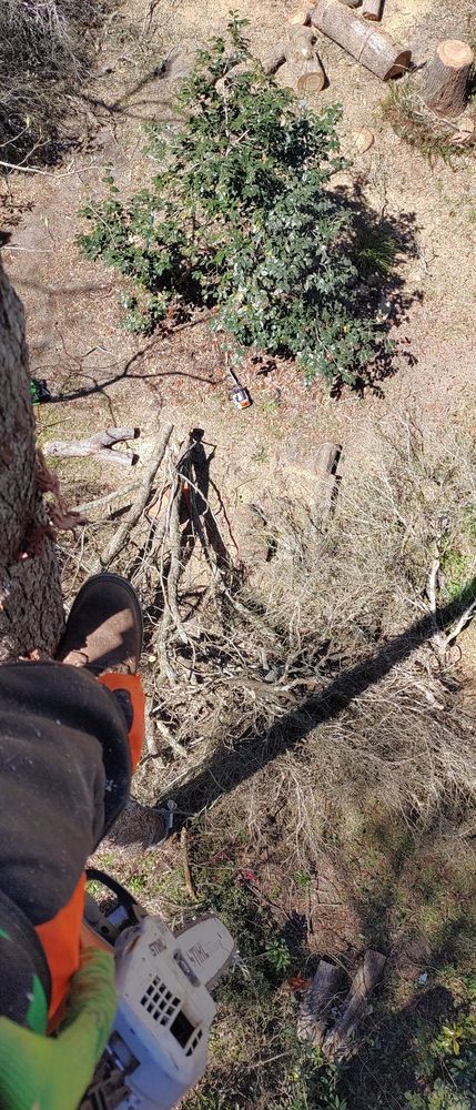 Webb's Tree Service