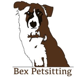 pet sitting georgetown