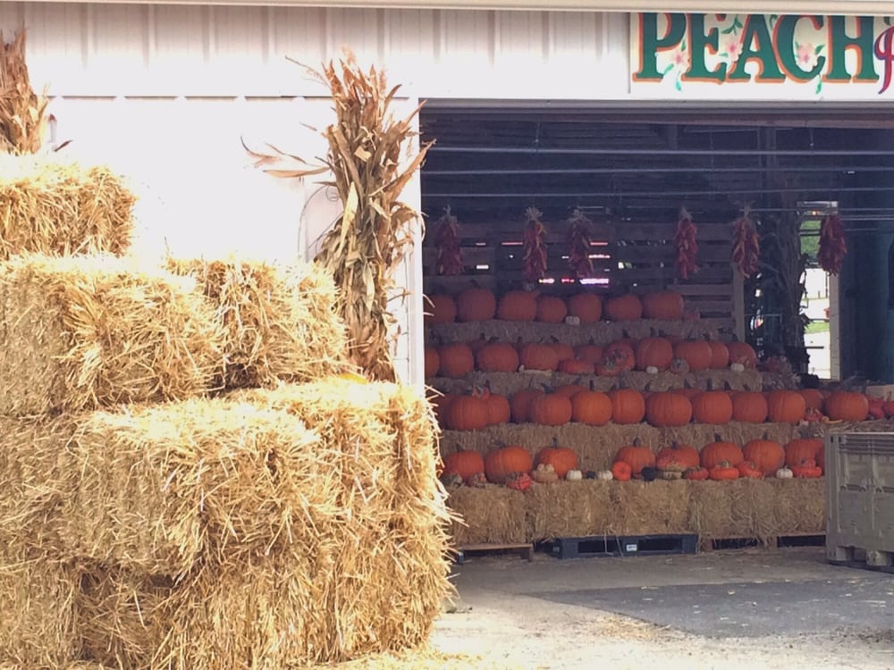 Parker County Farmers Market 12 Photos Fruits & Veggies 217 Fort