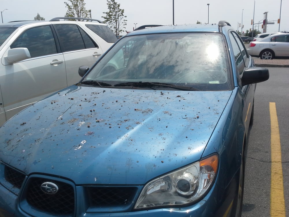 Tech Plus Auto Services