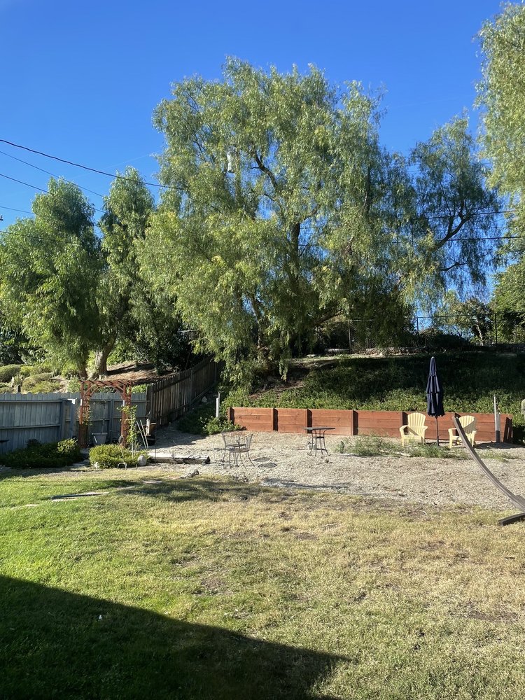 Salinas Tree Service & Landscaping