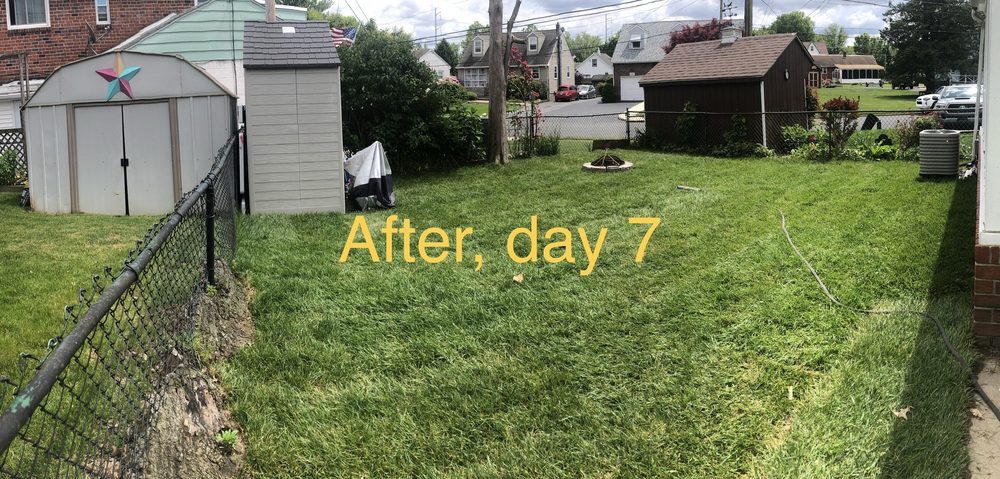 TLC Landscape Services