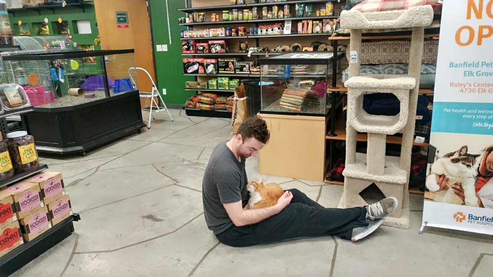 Pets To Go 50 Photos & 107 Reviews Pet Stores 9098 Laguna Main St