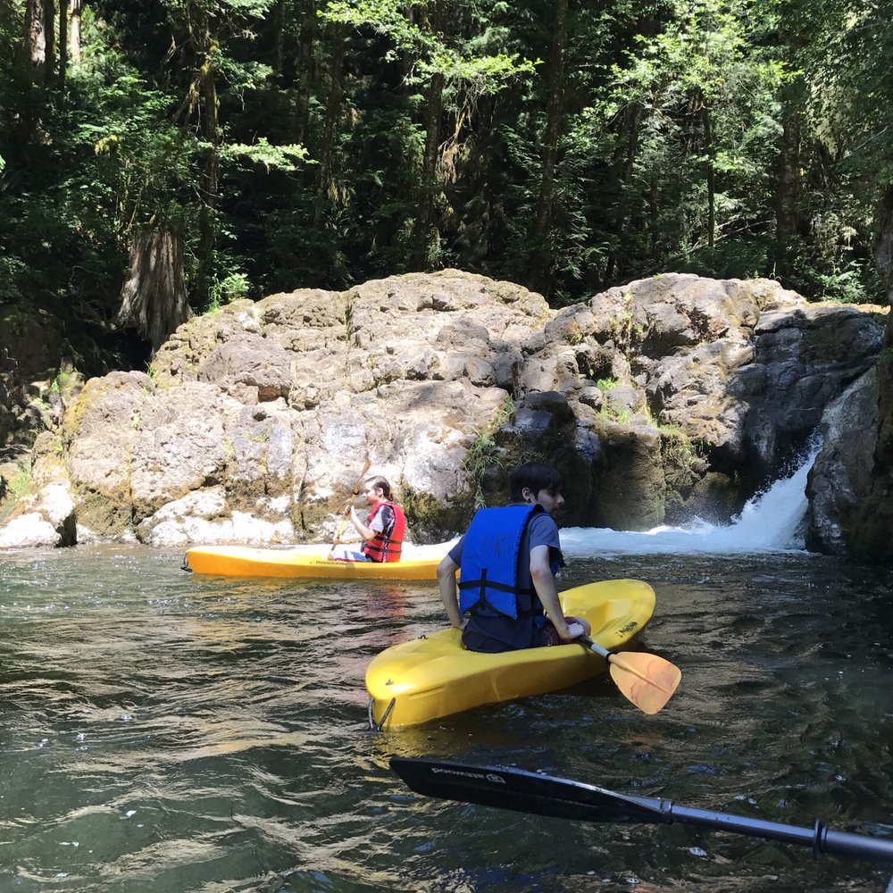 Lake Mayfield Resort & Marina 14 Photos & 14 Reviews Hotels 350