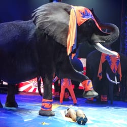 UniverSoul Circus - 29 Photos & 20 Reviews - Performing Arts - Atlanta