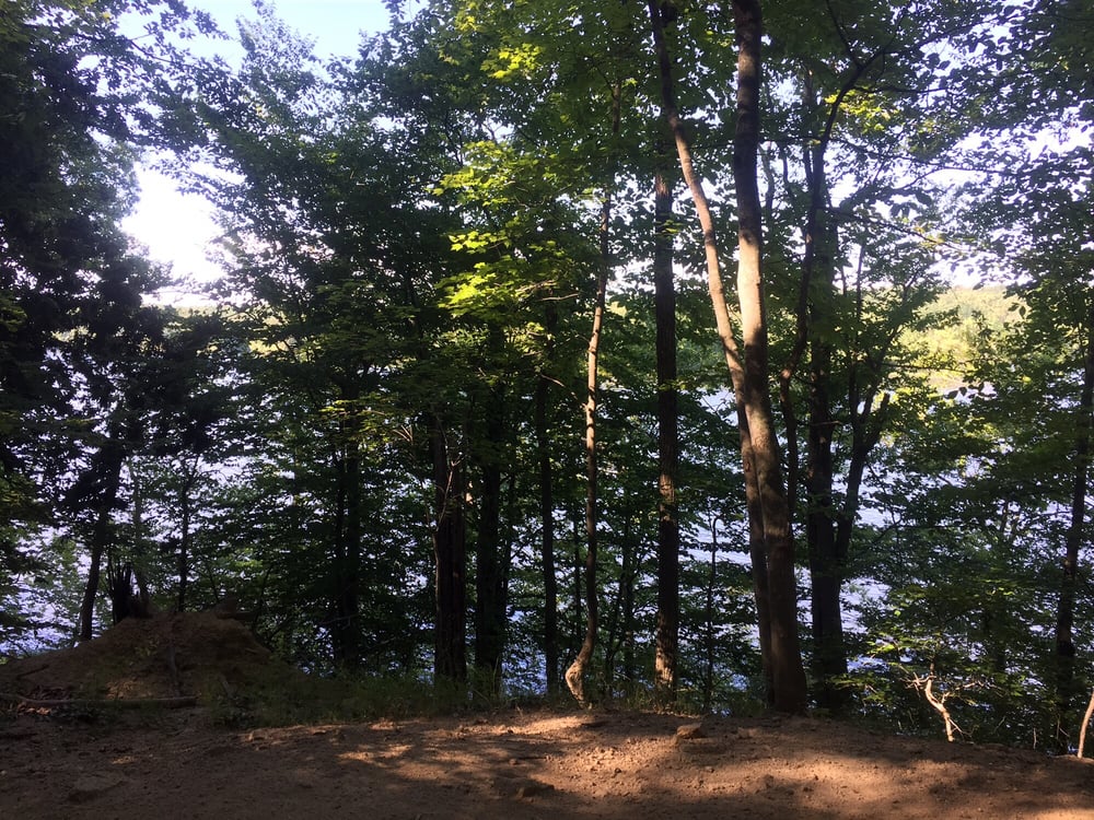 Fountainhead Regional Park 20 Photos & 44 Reviews Parks 10875