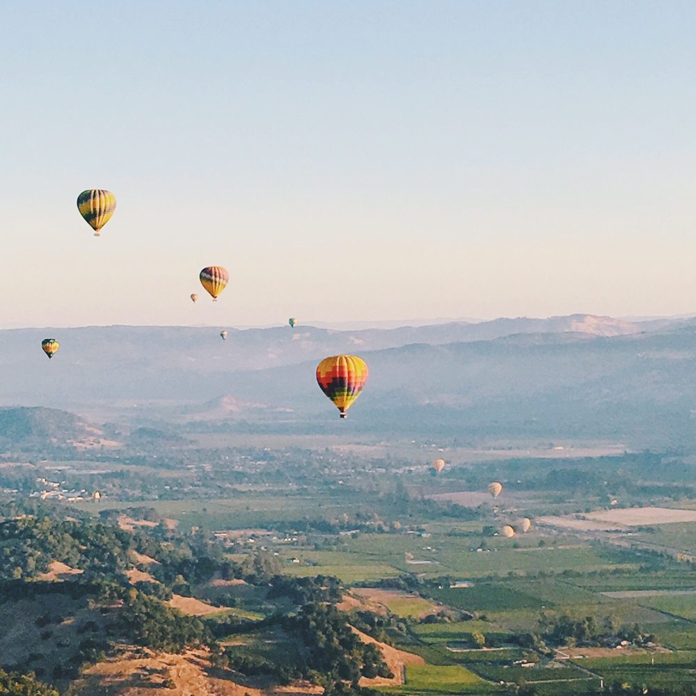 Napa Valley Balloons 245 Photos & 154 Reviews Hot Air Balloons